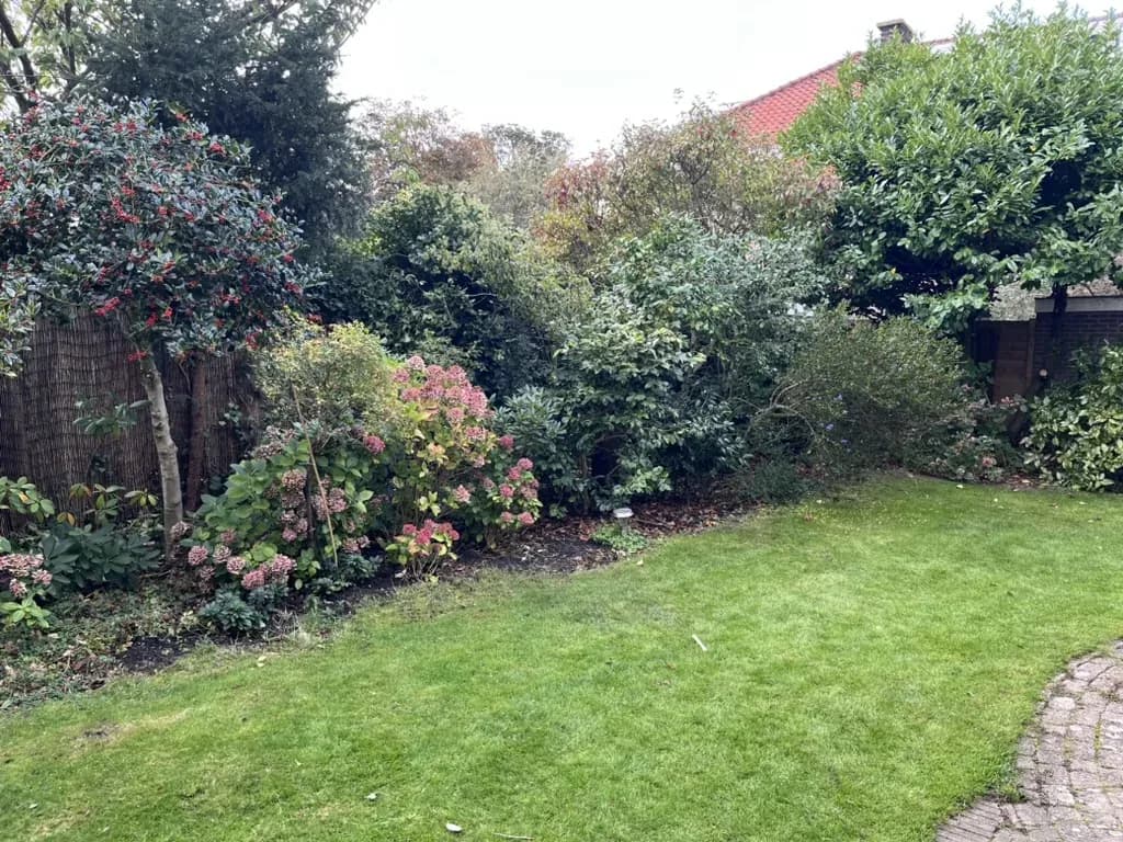 Onkruidvrij terras en border in Den Haag