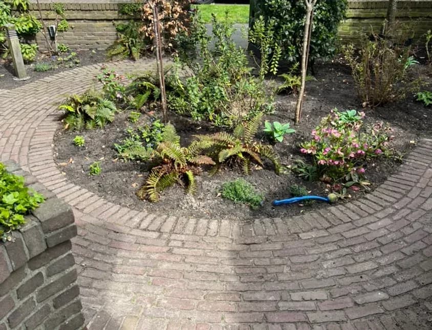 Lenteklaar gemaakte tuin met verse aanplant in Den Haag