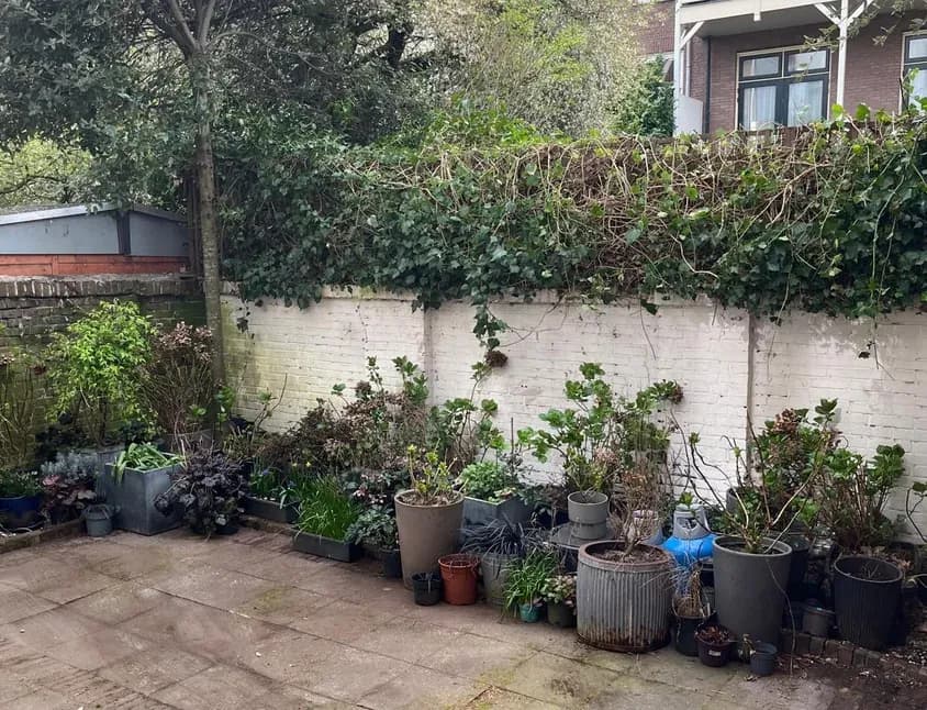 Winterklaar gemaakte tuin in het najaar in Den Haag
