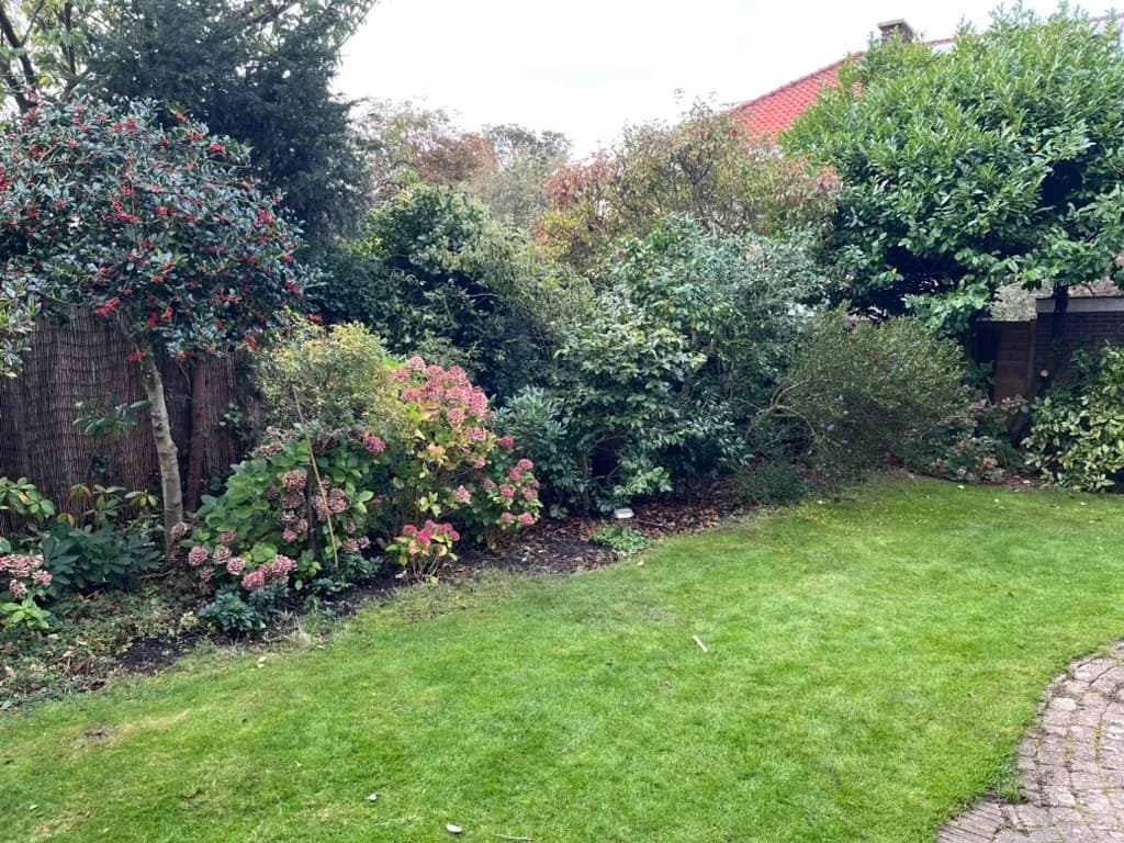 Verzorgde border en gazon na tuinonderhoud in Den Haag